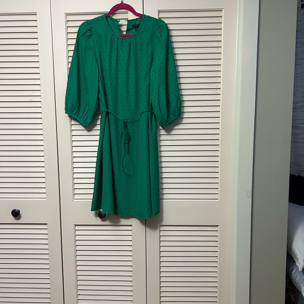 Ann Taylor Factory Vibrant Green Puff Sleeve Dress